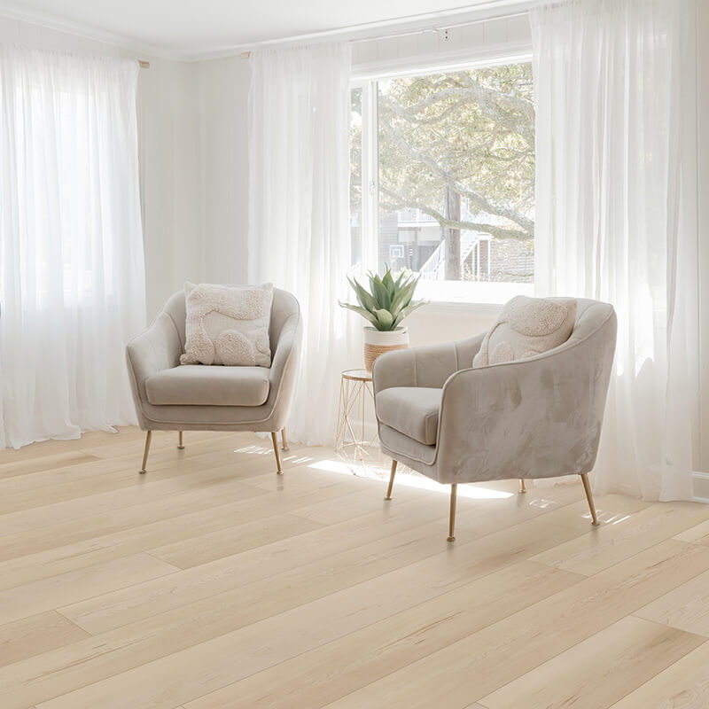blog 539 velocityjan26lvpbrightlight | Carpetland USA