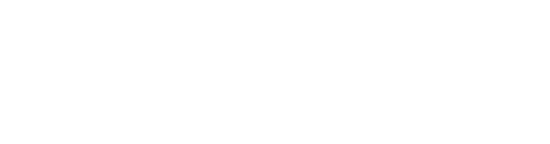 Bruce Logo White - Carpetland USA