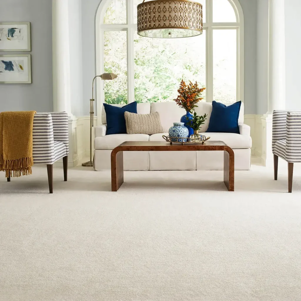 Carpet Inspiration Gallery 3 - Carpetland USA