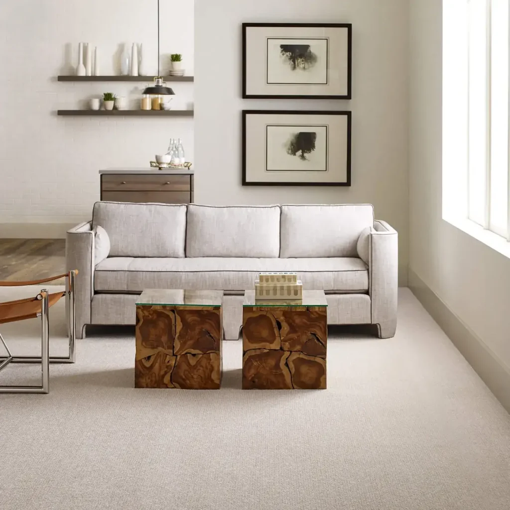 Carpet Inspiration Gallery 8 - Carpetland USA