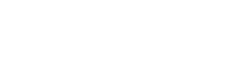 Dixie Home Logo 2023 White - Carpetland USA