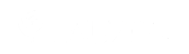 Louzan logo e1774541772750 - Carpetland USA