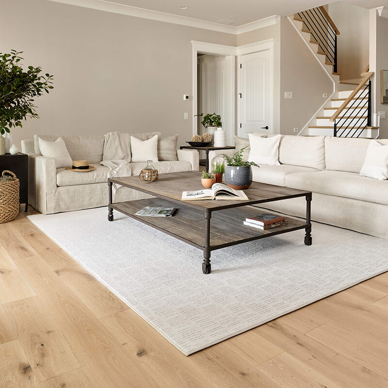 blog 477 arearug | Carpetland USA