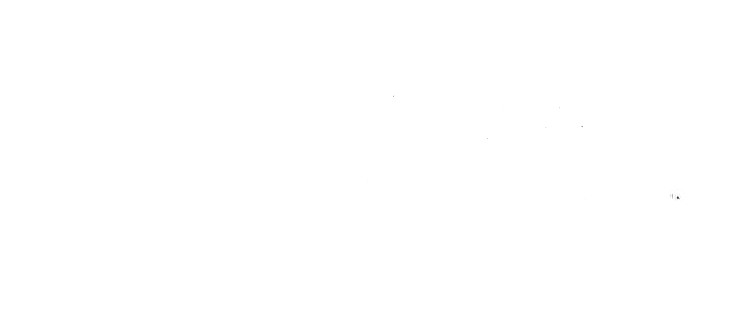 shawfloors white logo - Carpetland USA